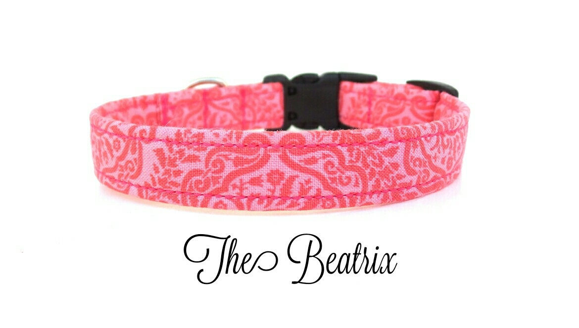 The Beatrix - Pink Paisley Dog Collar - Spring Dog Collar - Flower Sold ...
