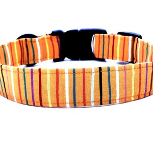 Dog Collar - The Zach - Striped Dog Collar - Playful Dog Collar - Fashion Dog Collar- Bow Tie Sold Separately