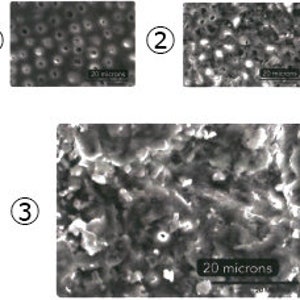 Hydroxyapatite powder for strengthening and remineralising teeth image 7