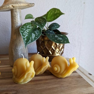 Snail Beeswax Candle