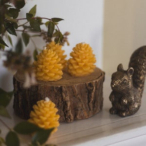 Small Pinecone Beeswax Candle