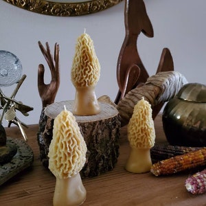 Morel Mushroom Beeswax Candle