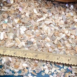 Puede incluir: Primer plano de un montón de piezas de concha iridiscentes, de color marrón claro y blanco. Una regla de latón se coloca encima de las piezas de concha. La regla está marcada con los números del 3 al 9.