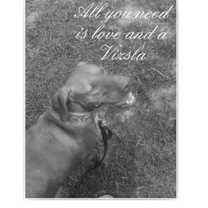 May include: A black and white photo of a Vizsla dog with the text "All you need is love and a Vizsla" on a green grassy background.