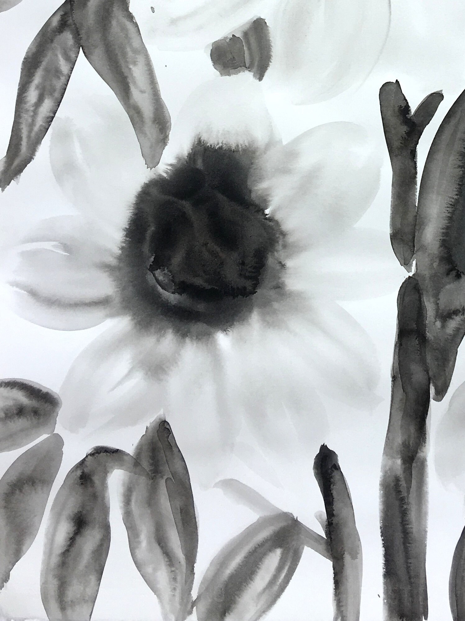 Flowers, Ink Wash, Water Color on Paper, Floral Art, Still Life, Black ...