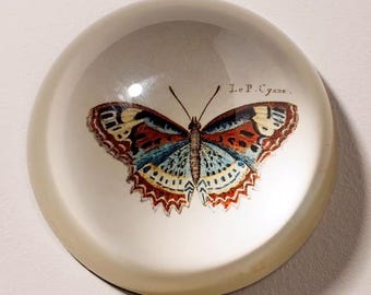 Pisapapeles de cristal con forma de mariposa Chehoma n.° 39726 – Decoración de estilo vintage inspirada en la naturaleza – Adorno de escritorio de estilo campestre francés – Pisapapeles decorativo