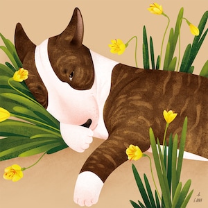 Poster Bull Terrier - Stampa artistica Bull Terrier - Arte murale - Regalo Bull Terrier - Arredamento per la casa Bull Terrier