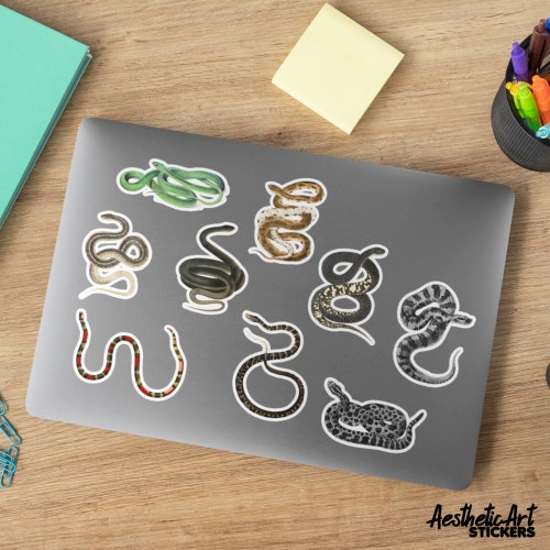 Lychee Boba Tea STICKER \u2022 Reptile Bubble Tea \u2022 Anery Kenyan Sand Boa \u2022 Snek Sticker \u2022 Kitchen Decor \u2022 Gift for snake lover him or her