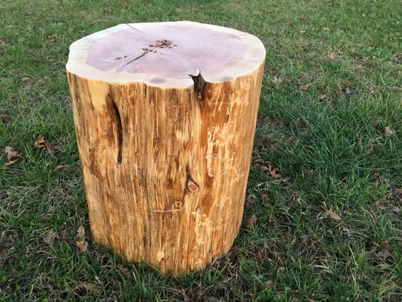 tree trunk stool wood stump image tree stump table real cedar live edge natural coffee etsy tree trunk stool wood stump image tree stump table real cedar live edge natural coffee etsy
