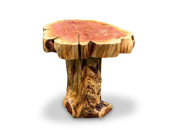 Live Edge Wood Slab End Table Tree Trunk Base Table Cedar Etsy