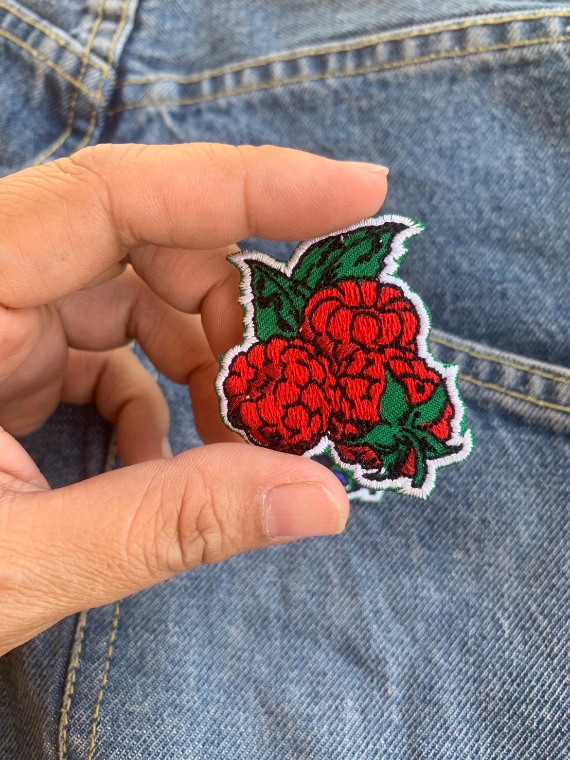 Raspberry Skin Patch Raspberry Blackberry Iron on Patches Embroidered Applique - Etsy