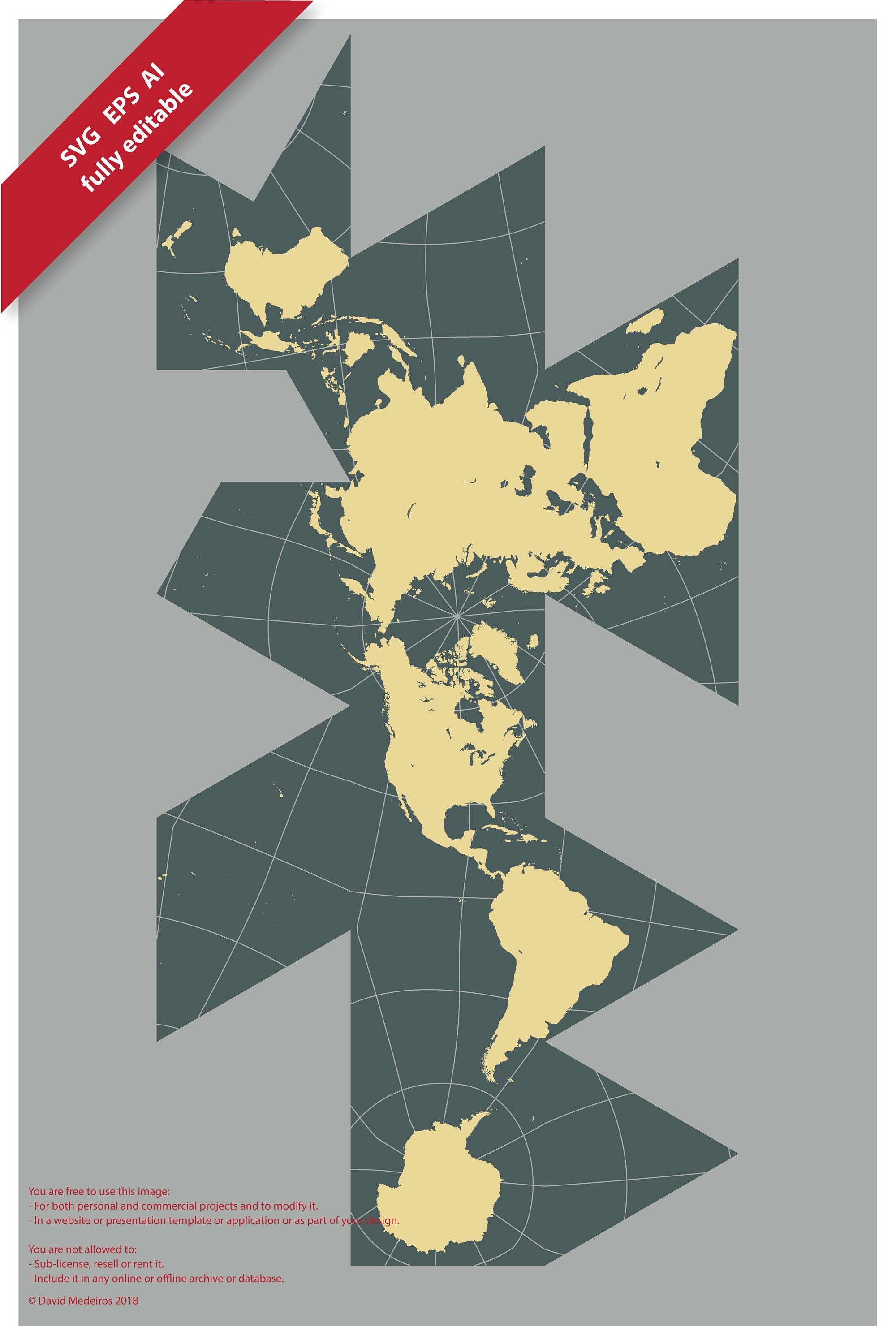 vectorial map world dymaxion