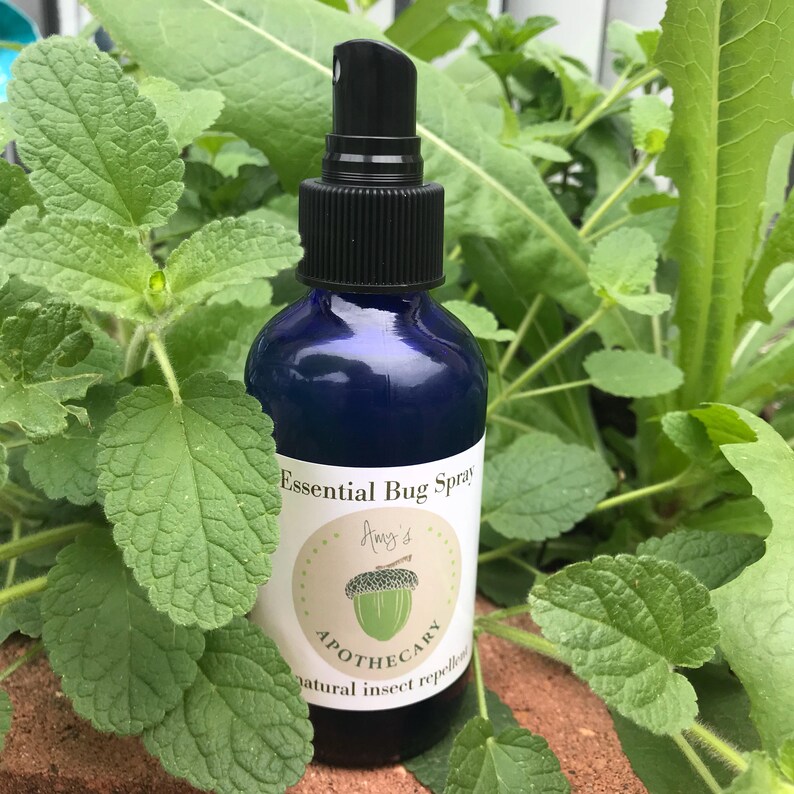 All Natural Insect Repelling Bug Spray With Witch Hazel and Etsy