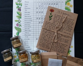 Herb Set / Harvest Calendar / Plant Cards / Herbs / Seeds / Sowing / Seeds / Herbal Knowledge / Marigold / Herbal Witch / Garden Witch