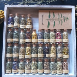 Seelen-Apotheke / Pflanzenkarten / Kräuterset/ Pflanzenorakel / Kräuterkarten / Divination / Spiritualität / witchcraft / Kräutermagie