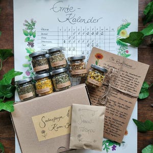 Kleine Kräuter-Hexe Set / Kräuter-Set / Erntekalender / Pflanzenkarten / Kräuter / Samen /  Saatgut / Ringelblume / Kräuterhexe / Gartenhexe