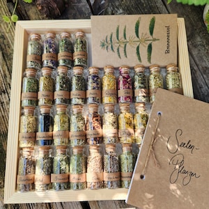 Soul Pharmacy / Plant Cards / Herbal Set / Plant Oracle / Herbal Cards / Divination / Spirituality / Witchcraft / Herbal Magic