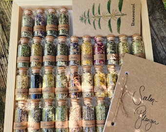Seelen-Apotheke / Pflanzenkarten / Kräuterset/ Pflanzenorakel / Kräuterkarten / Divination / Spiritualität / witchcraft / Kräutermagie