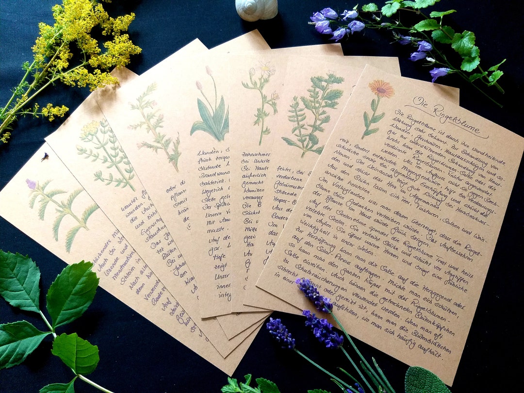 Plant Cards A5 / Plant Portraits / Herb Cards / Herbal Knowledge