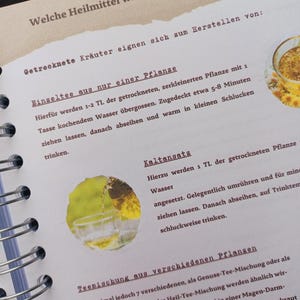 May include: A page from a German language book with instructions on how to make herbal teas and infusions. The page features a photo of a glass cup with a clear liquid and a green plant. The text on the page reads "Welche Heilmittel wir aus Kr&auml;utern herstellen k&ouml;nnen" and "Getrocknete Kr&auml;uter eignen sich zum Herstellen von: Bingeltee aus nur einer Pflanze".