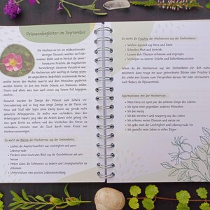 May include: A page from a book about herbalism, featuring a drawing of a rose hip plant and text about the medicinal properties of the plant. The text includes the German word "Heckenrose" and mentions the plant's use in traditional medicine.