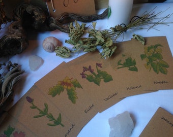 Soul Plants Card Set / Card Deck / Oracle / Oracle Deck / Divination / Magic