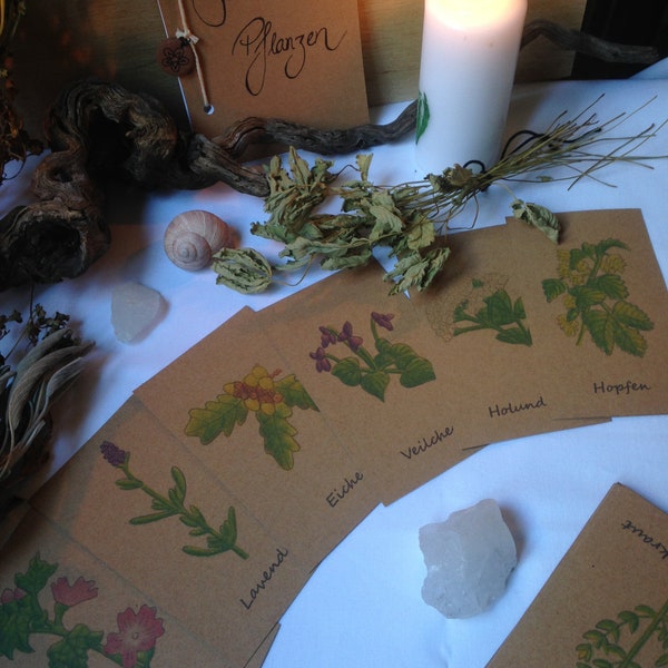 Soul Plants Card Set / Card Deck / Oracle / Oracle Deck / Divination / Magic