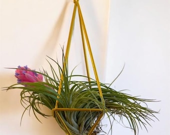 Geometric Air Plant Holder: Modern Hanging Tillandsia Display