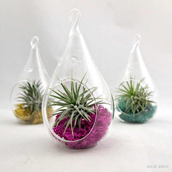7' hanging glass globe, teardrop tearrium