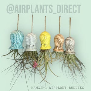 Hanging Ceramic Jellyfish Air Plant: Coastal Home Decor