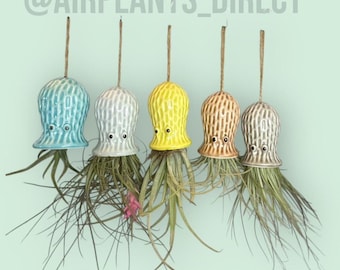 Hanging Ceramic Jellyfish Air Plant: Coastal Home Decor