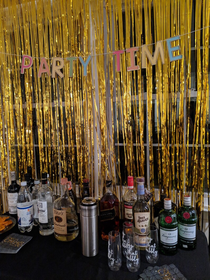 Large Foil Fringe Photo Backdrop Curtain