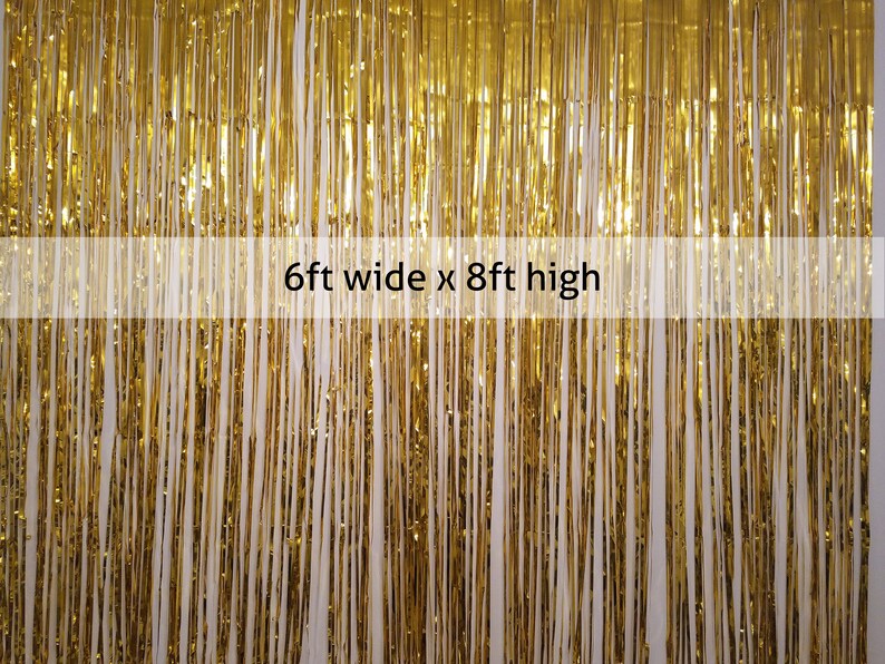 Large Foil Fringe Photo Backdrop Curtain