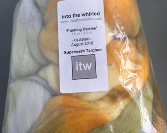 DESTASH - Into the Whirled 4oz Superwash Targhee Fiber - Pushing Daisies