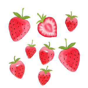 Aquarel aardbeien Clipart ingesteld, Fruit, voedsel, zomer, rijp, sappig, illustratie afbeelding 1