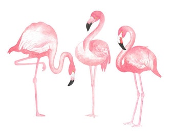 Three Watercolor Flamingos Set, Clip art, Tropical, Bird, Illustration, Scrap-booking, Summer