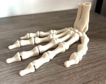 Skeleton Hand Articulated 3D Printed Fidget Bookshelf Decor Gift