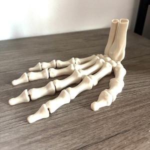 Skeleton Hand Articulated 3D Printed Fidget Bookshelf Decor Gift