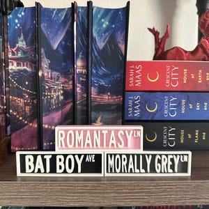 May include: A shelf displays three decorative street signs: "ROMANTASY LN" in pink, "BAT BOY AVE" in black, and "MORALLY GREY LN" in black. Books with colorful covers and titles like "CRESCENT CITY" and "SARAH J. MAAS" are also visible.