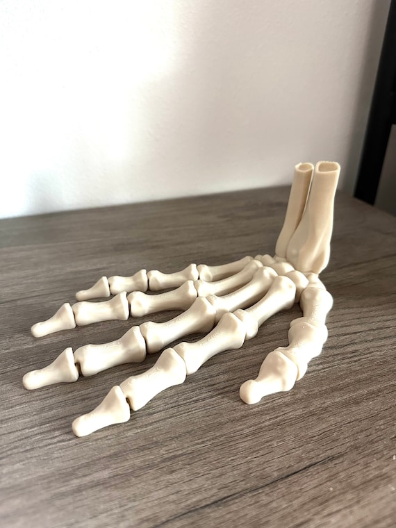 Skeleton Hand Articulated 3D Printed Fidget Bookshelf Decor Gift