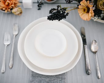 organic dinner set