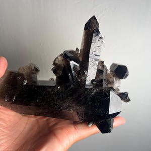 Large Smoky Elestial Morion Quartz Cluster, Minas Gerais, Brazil