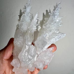 Aragonite Floater Crystal Santa Eulalia Mining District l, Aquiles Serdan Municipality, Chihuahua, Mexico