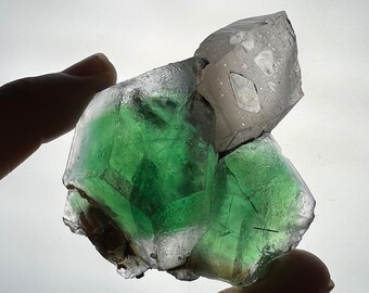 Fluorite & Schorl - Mineral Specimen from Erongo, Namibia