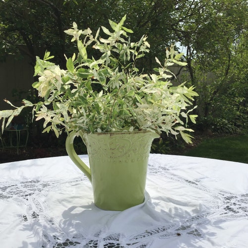 アンティーク セオドア ハビランド リモージュ フランス ダブル