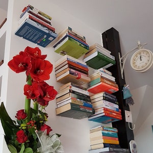 Floating vertical bookshelf outlet