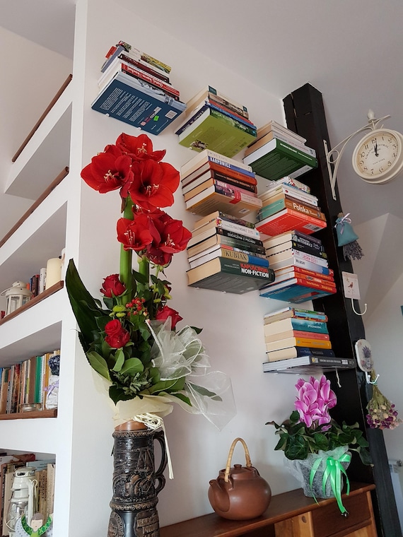 Galleksa Invisible Concealed Floating Metal Bookshelf Wall Etsy