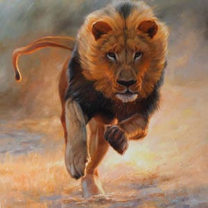 Painting with a running lion, Original animalism artwork, Lion in the desert, Lion on the hunt, Realism lion painted, Dynamic lion painting