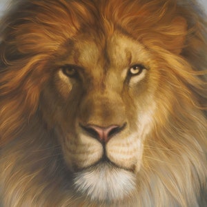 May include: A close-up portrait of a lion with a thick mane of golden brown fur. The lion has a serious expression with piercing amber eyes.