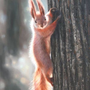 Squirrel on a tree art, Squirrel oil painting, Animals realism artwork, Picture for a nursery, Gift for child, Little squirrel hand painted